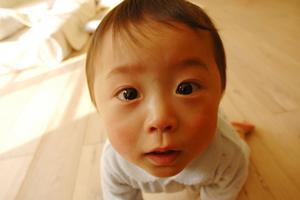 安全性で選ぶなら、コンビの抱っこ紐